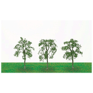 Ash Tree
