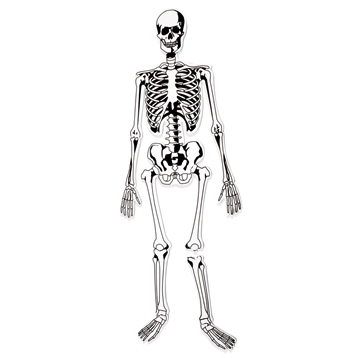 Skeleton Floor Puzzle